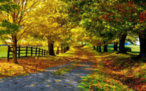 Аллея в парке осенью