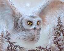 Без бренда «2KMB-3848» в Пензе