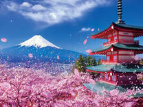 Без бренда «2KSB-7277» в Пензе