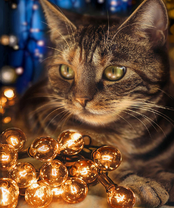 Без бренда «2KXSB-0678» в Пензе