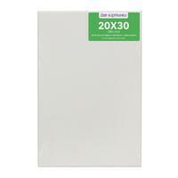 Без бренда «Коробка 80 шт.: Холст Две картинки на подрамнике 20X30» в Пензе