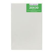 Без бренда «Коробка 80 шт.: Холст Две картинки на подрамнике 20X30» в Пензе