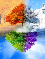 Без бренда «BOX10-2KLB-6100» в Пензе