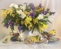 Без бренда «Натюрморт из мимоз и колокольчиков (20шт)» в Пензе