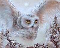 Без бренда «Полярная сова над лесом (20шт)» в Пензе