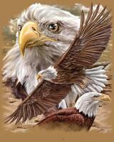 Без бренда «Коробка 20 шт: Орёл крупным планом» в Пензе