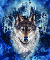 Без бренда «BOX40-2KXSB-0687» в Пензе