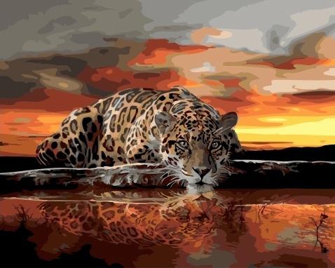 Картина по номерам 40x50 Леопард на фоне красивого заката