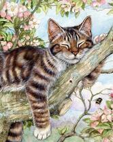 Спящий на цветущем дереве кот