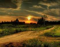 Без бренда «Проселочная дорога на закате» в Пензе