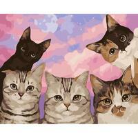 Без бренда «Такие разные котики» в Пензе