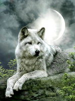 Без бренда «Коробка 25 шт. картин по номерам BOX25-GX21058» в Пензе