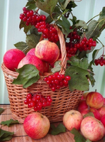 Без бренда «Коробка 25 шт. картин по номерам BOX25-GX5174» в Пензе