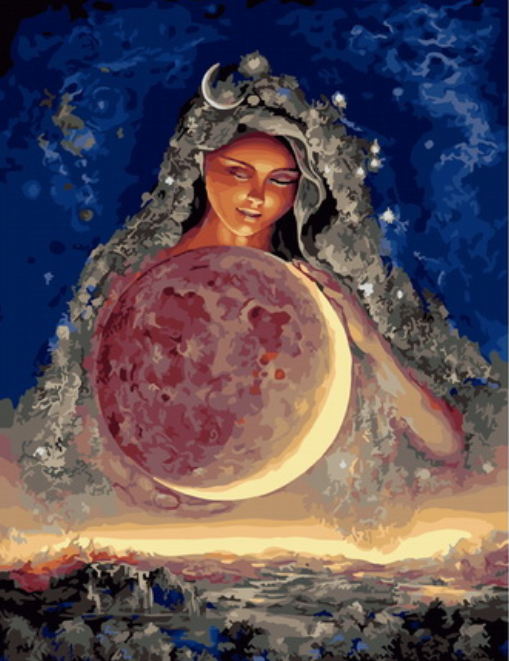 Картина по номерам 40x50 Покровительница луны