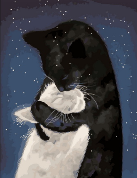 Картина по номерам 40x50 Объятие черного и белого котенка