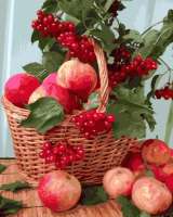 Без бренда «Плетёная корзина с калиной и яблоками» в Пензе в интернет-магазине  Без бренда «Плетёная корзина с калиной и яблоками» в Пензе