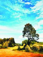 Без бренда «Осенний пейзаж с голубым небом» в Пензе в интернет-магазине  Без бренда «Осенний пейзаж с голубым небом» в Пензе