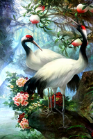 Без бренда «Коробка 25 шт. картин по номерам BOX25-GX29399» в Пензе в интернет-магазине  Без бренда «Коробка 25 шт. картин по номерам BOX25-GX29399» в Пензе