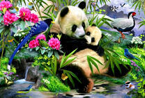 Панды и фазаны в бамбуковой роще